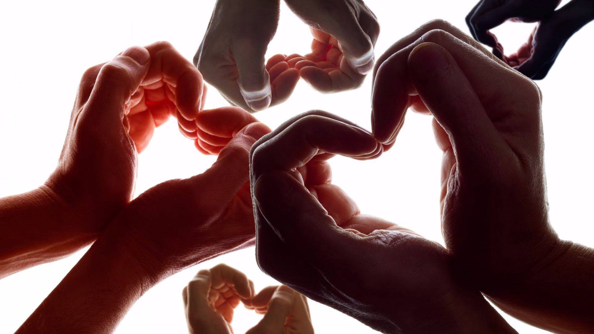 Top 10 Worthy Organizations to Donate To and Make a Difference 2 Top 10 Worthy Organizations to Donate To and Make a Difference